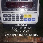 INDICATOR CI – 200 A MERK CAS