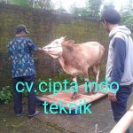 TIMBANGAN  SAPI MODEL  LOAD BARR