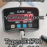 TIMBANGAN GANTUNG IE 1700 CAS 500 Kg SURABAYA